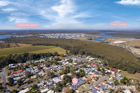 Property photo of 19 Samuel Court Jacobs Well QLD 4208