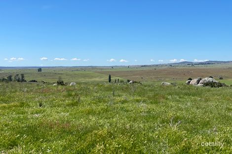 Property photo of 272 Blackburn Creek Road Dalgety NSW 2628