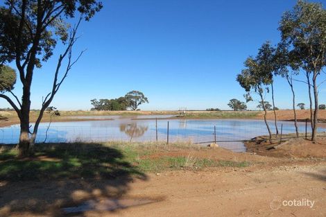 Property photo of 559L Cobboco Road Burroway NSW 2821