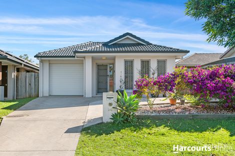 Property photo of 14 Miers Crescent Murrumba Downs QLD 4503