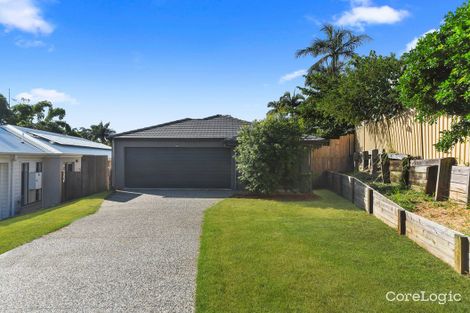 Property photo of 20 Magnolia Place Carseldine QLD 4034
