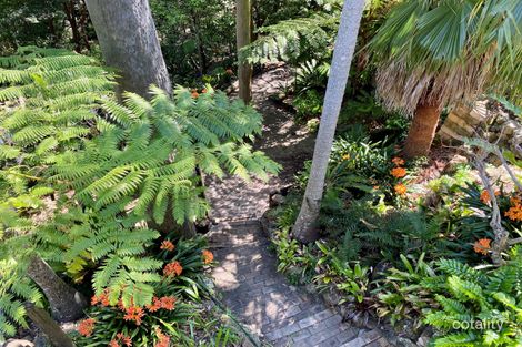 Property photo of 53 Scenic Drive Caves Beach NSW 2281