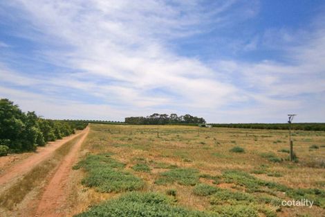 Lot 20 Playford Rd, Sunlands, SA 5322