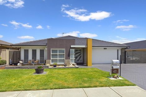 Property photo of 47 Fernhill Avenue Hamlyn Terrace NSW 2259