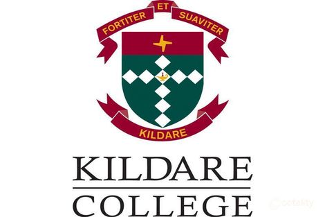 Property photo of 34 Heather Avenue Windsor Gardens SA 5087