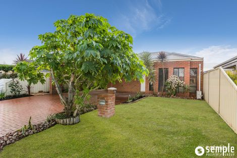 Property photo of 7 Monarch Gate Success WA 6164