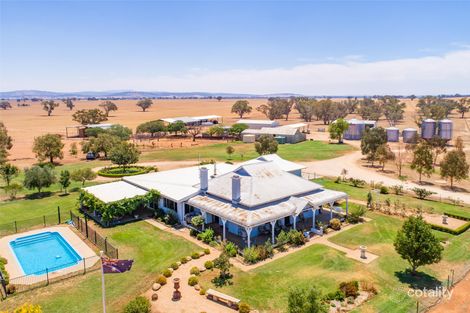 79 Leneva Lane, Canowindra, NSW 2804