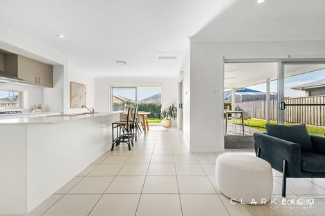 Property photo of 81 Tarragon Way Chisholm NSW 2322