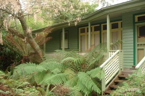 19 Olive Gr, Tecoma, VIC 3160