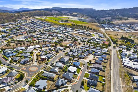 Property photo of 6 Wise Circle Howrah TAS 7018