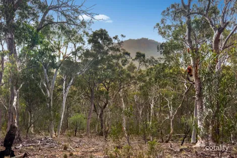 Lot 22 Glen Davis Rd, Capertee, NSW 2846