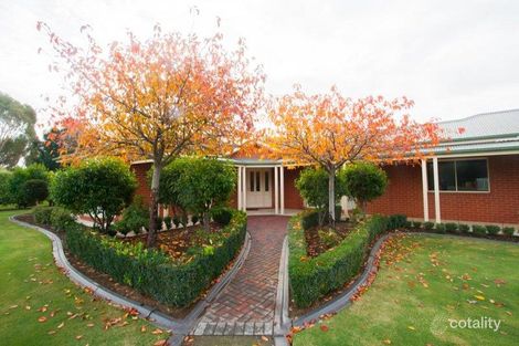 Property photo of 13 Tomara Court Moama NSW 2731