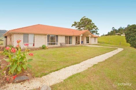 Property photo of 46 Possumwood Close Tyalgum NSW 2484