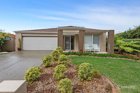 Property photo of 51 Macaranga Crescent Carseldine QLD 4034