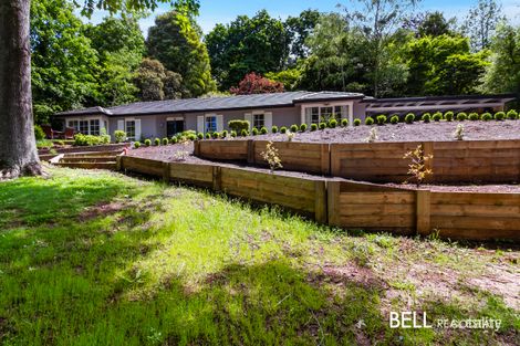 Property photo of 12 Sycamore Avenue Emerald VIC 3782