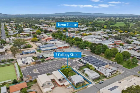 Property photo of 3 Collopy Street Mansfield VIC 3722