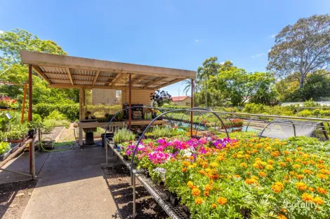 Property photo of 1 William Street Wingham NSW 2429