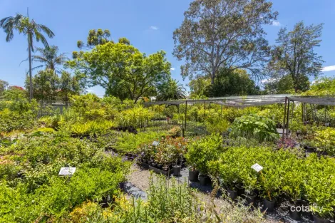 Property photo of 1 William Street Wingham NSW 2429