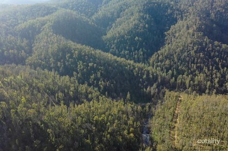 4924 Armidale Rd, Nymboida, NSW 2460