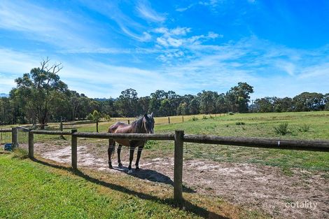 Property photo of 701 Macclesfield Road Macclesfield VIC 3782