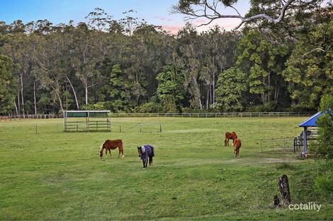 Property photo of 779 Tallebudgera Creek Road Tallebudgera Valley QLD 4228