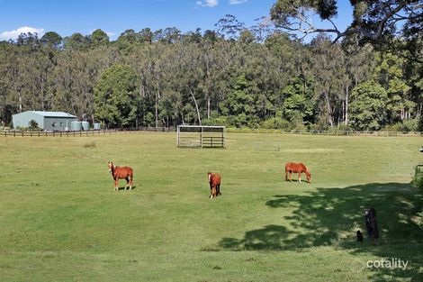 Property photo of 779 Tallebudgera Creek Road Tallebudgera Valley QLD 4228