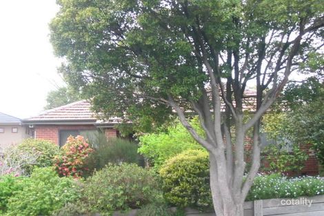 Property photo of 41 Elliott Avenue Balwyn VIC 3103