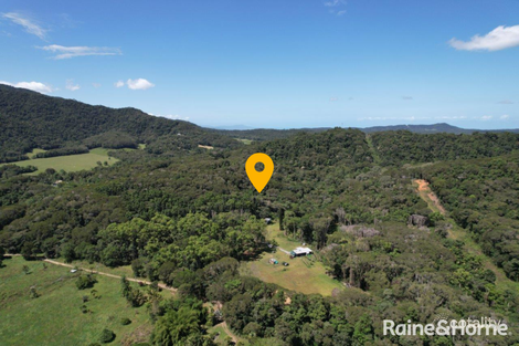 Property photo of 9 Richards Road Julatten QLD 4871