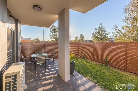 Property photo of 31/41 Clare Burton Crescent Franklin ACT 2913