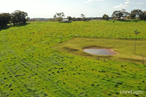 Property photo of 4207 Murringo Road Young NSW 2594