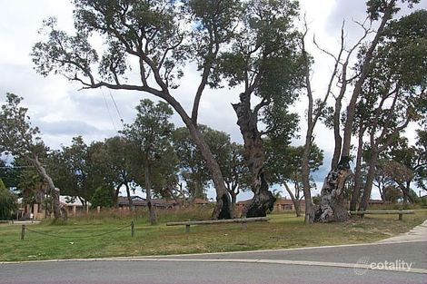 3 Currie Gr, Mirrabooka, WA 6061