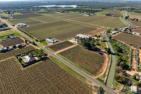 Property photo of 191 Belar Avenue Irymple VIC 3498