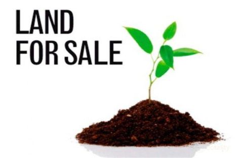 19 Summer Dr, Dawesville, WA 6211