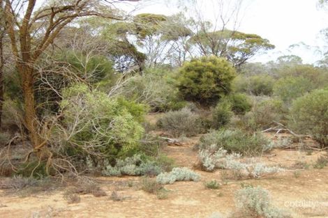 500 Otc Rd, Ceduna, SA 5690