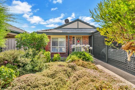 20 Nautilus Sq, Seaford Rise, SA 5169