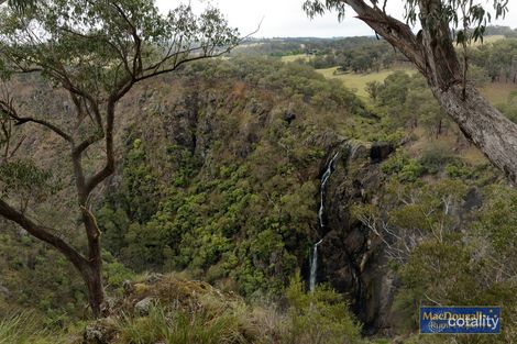 Property photo of 269 Yarrobindi Road Yarrowitch NSW 2354