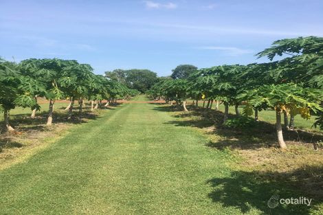 533 River Farm Rd, Kununurra, WA 6743