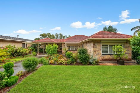 Property photo of 314 Marion Road Netley SA 5037
