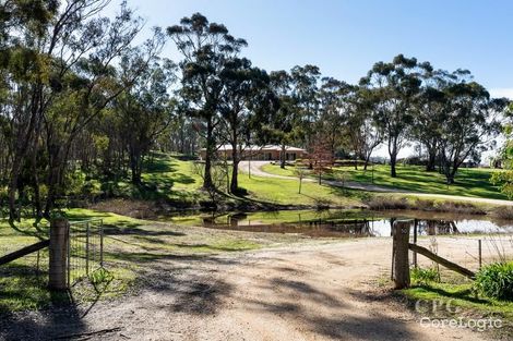Property photo of 50 Daws Road Castlemaine VIC 3450
