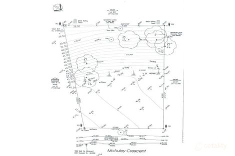 Property photo of 34 McAuley Crescent Augustine Heights QLD 4300
