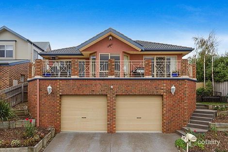 19 Nireeda Ct, Wandana Heights, VIC 3216