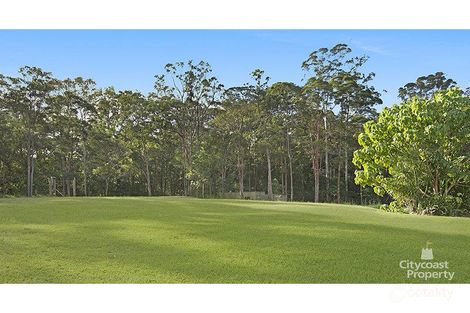 Property photo of 22 Kookaburra Drive Gilston QLD 4211