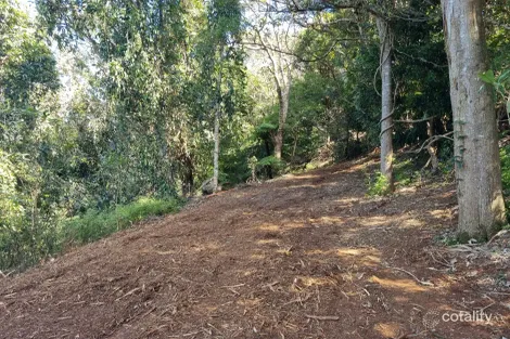 Property photo of 107 Lyrebird Ridge Road Springbrook QLD 4213