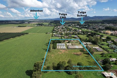 Property photo of 9 Daly Street Tolga QLD 4882