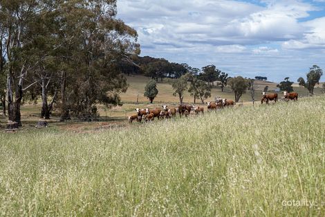 Property photo of 167 Carbine Road Forest Reefs NSW 2798