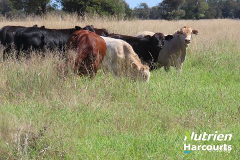 954 Red Hill Rd, Red Hill, QLD 4059