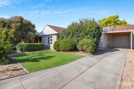 53 Lasscock Ave, Lockleys, SA 5032