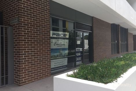 Property photo of 33 Amelia Street Waterloo NSW 2017