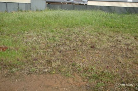 29 Pinot Cres, Nuriootpa, SA 5355