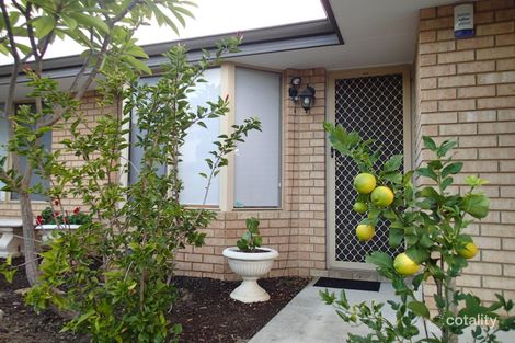Property photo of 51 Cervantes Loop Yangebup WA 6164